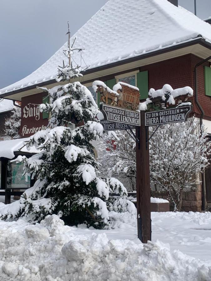 Ferienwohnungen Fuchs&Hase Saig - der Fuchs Lenzkirch Exterior foto