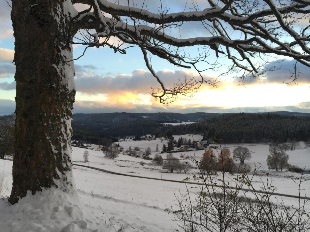 Ferienwohnungen Fuchs&Hase Saig - der Fuchs Lenzkirch Exterior foto
