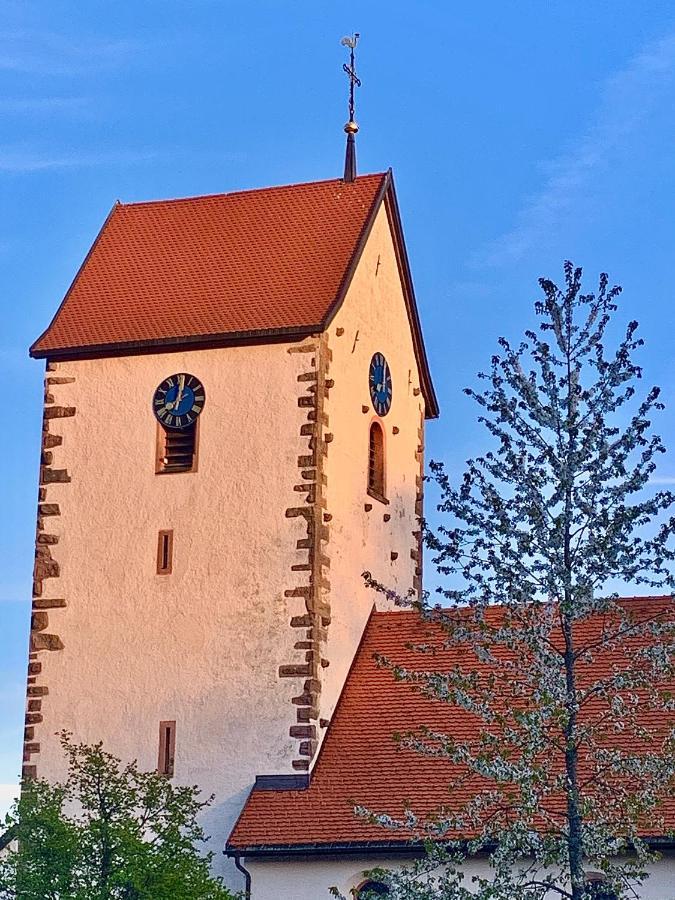 Ferienwohnungen Fuchs&Hase Saig - der Fuchs Lenzkirch Exterior foto