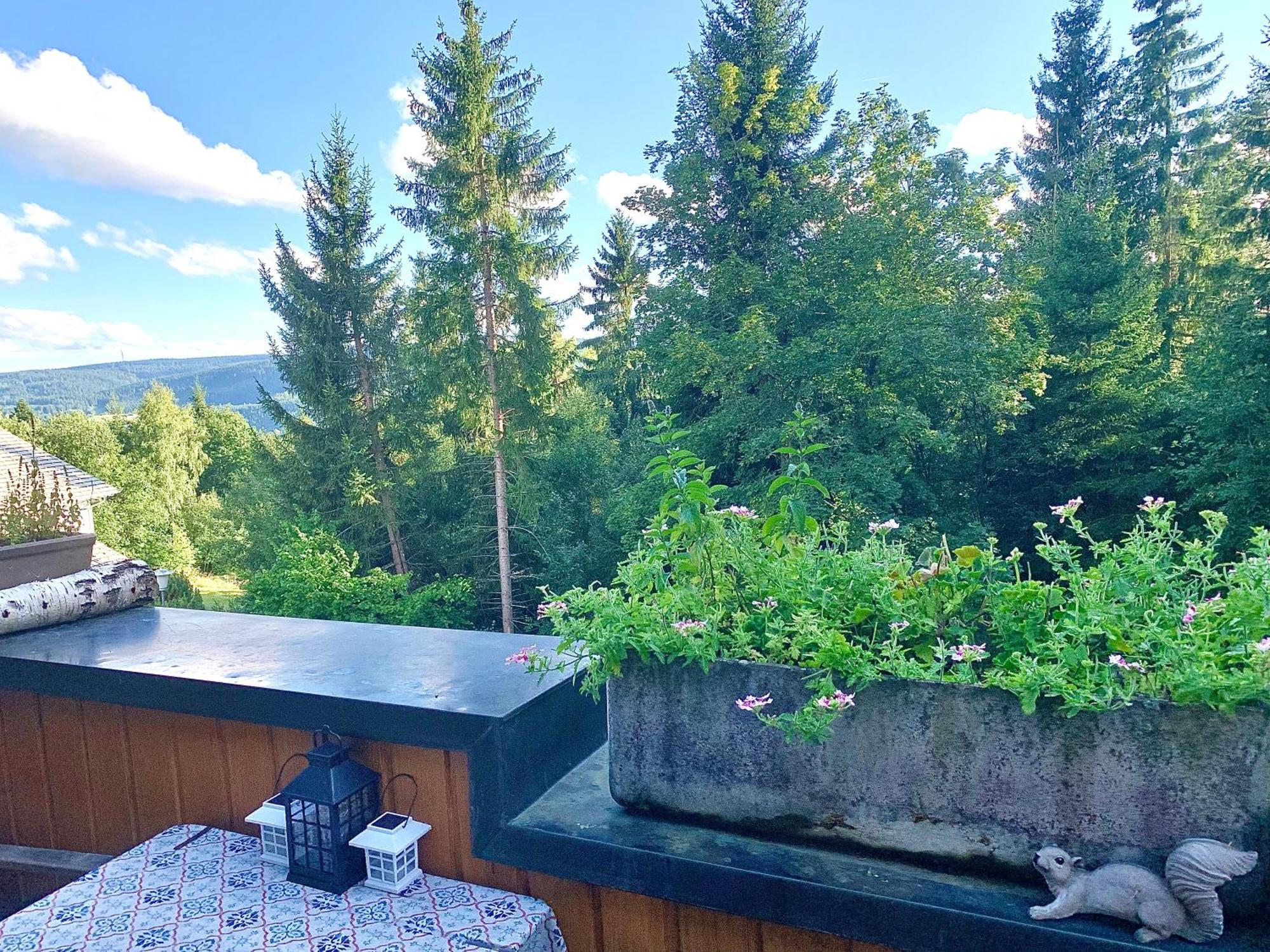 Ferienwohnungen Fuchs&Hase Saig - der Fuchs Lenzkirch Zimmer foto